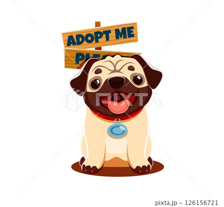 Adopt dog for pets adoption sign of pug funny cute puppy with happy muzzle, vector. Adopt me badge with cheerful puppy dog with tongue out for pets adoption banner or animal shelter poster 126156721