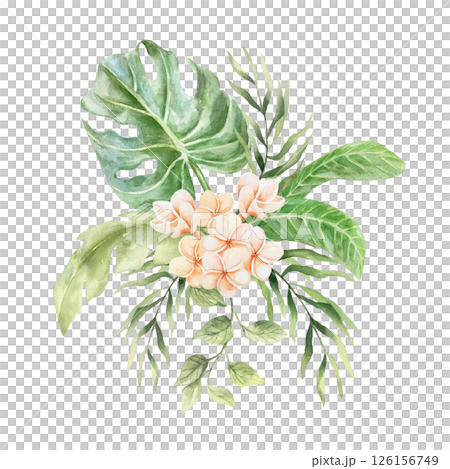 Tropical bouquet of pink plumeria flowers, green palm leaves, monstera, liana. Hand drawn watercolor illustration isolated on white. For postcards, invitations, summer banners, posters. 126156749