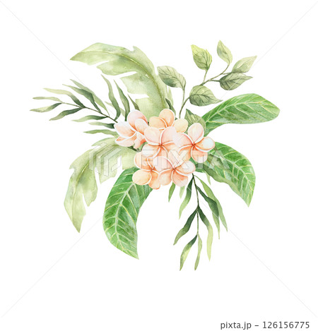 Tropical bouquet of delicate plumeria flowers and green palm leaves. Hand drawn watercolor illustration isolated on white. For postcards, invitations, summer banners, posters. Tropical bouquet of delicate plumeria flowers and green palm leaves. Hand drawn watercolor illustration isolated on white. For postcards, invitations, summer banners, posters. 126156775