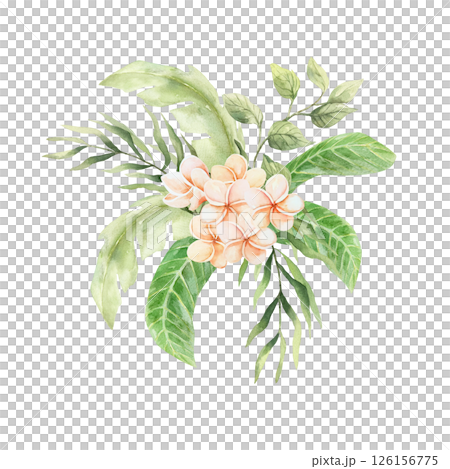 Tropical bouquet of delicate plumeria flowers and green palm leaves. Hand drawn watercolor illustration isolated on white. For postcards, invitations, summer banners, posters. Tropical bouquet of delicate plumeria flowers and green palm leaves. Hand drawn watercolor illustration isolated on white. For postcards, invitations, summer banners, posters. 126156775