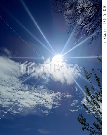 Bright Sunburst Through Clouds in Naturalistic Style in Blue, White, and Green Tones with Silhouetted Branches and Emerging Leaves 126156810