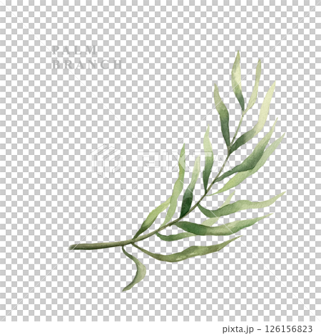 Palm leaf, green and picturesque. Hand drawn watercolor illustration isolated on white. For postcards, invitations, design element of summer and tropical banners, travel agency posters. 126156823