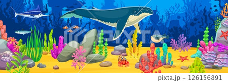 Sperm whale and fishes at underwater landscape, vector game background with cartoon sea animals, corals and seaweeds. Cute whale, crab, blue marlin and starfish at ocean bottom underwater landscape 126156891
