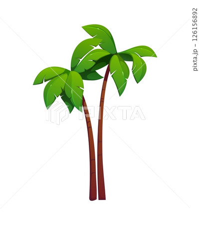 Cartoon palm trees with a curved brown trunks and lush green leaves. Isolated vector tropical jungle or Brazil coconut palm trees pair, exotic vegetation, symbol of travel and vacation, game assets 126156892