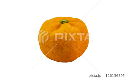 完熟のシークヮーサー　素材　白背景　切り抜き　 126156895