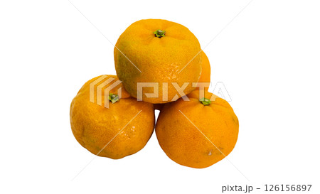 完熟のシークヮーサー 素材 白背景 切り抜き 完熟のシークヮーサー 素材 白背景 切り抜き 126156897