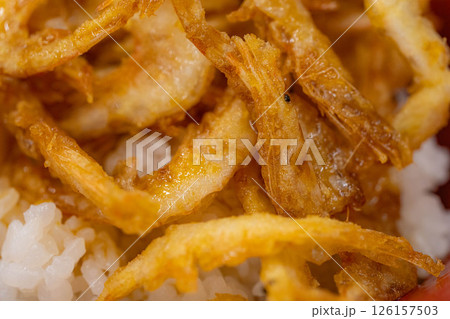 【食べ物素材】富山県名物白エビの天丼【富山県】 【食べ物素材】富山県名物白エビの天丼【富山県】 126157503