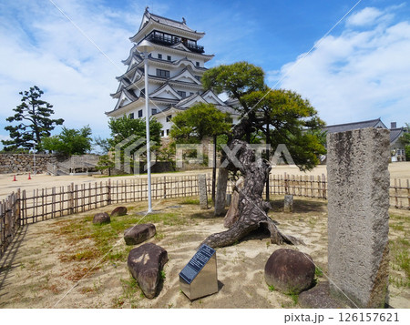 福山城と八方よしの松(広島県福山市) 福山城と八方よしの松(広島県福山市) 126157621