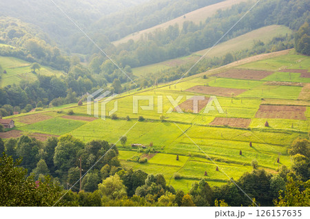 countryside mountain landscape. green fields, arable and trees on the hill in dappled light. organic farmland. scenery of volovets rural area in transcarpathia region on a cloudy day in early autumn 126157635