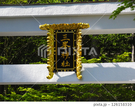 三峯神社（埼玉県秩父市） 126158310