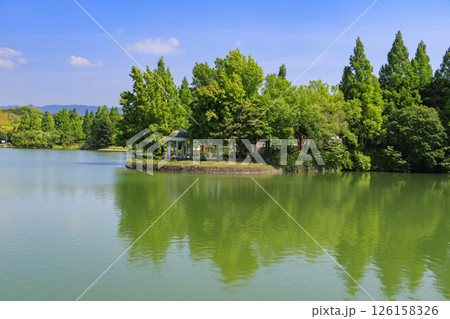 蜻蛉池公園　満開のバラ園 126158326