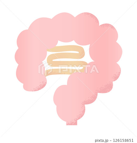 手描きのかわいい腸のイラスト 手描きのかわいい腸のイラスト 126158651