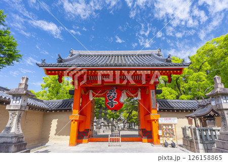 西宮神社 表大門(赤門) 西宮神社 表大門(赤門) 126158865