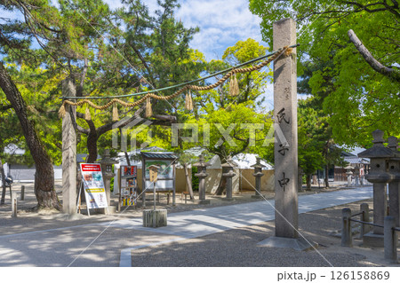 西宮神社 新緑に包まれた参道と注連柱 西宮神社 新緑に包まれた参道と注連柱 126158869