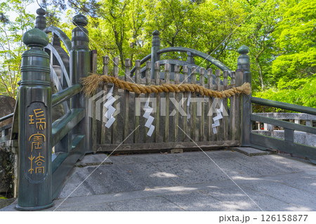 西宮神社　新緑に包まれた端寶橋 126158877