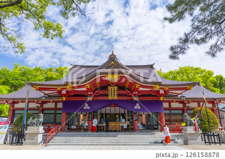 西宮神社　立派な拝殿 126158878