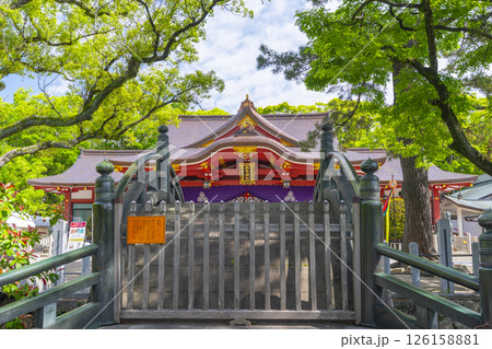 西宮神社　端寶橋越しに見える立派な拝殿 126158881