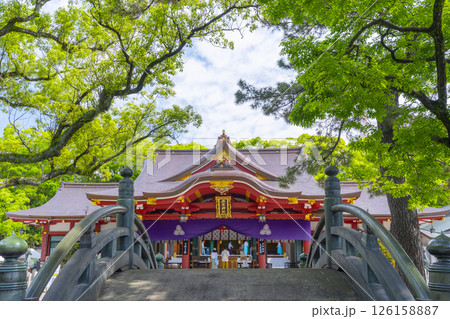 西宮神社　端寶橋越しに見える立派な拝殿 126158887