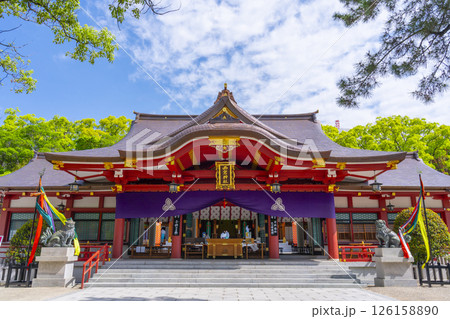 西宮神社 立派な拝殿 西宮神社 立派な拝殿 126158890