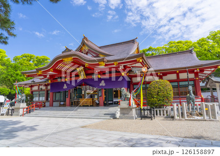 西宮神社　立派な拝殿 126158897