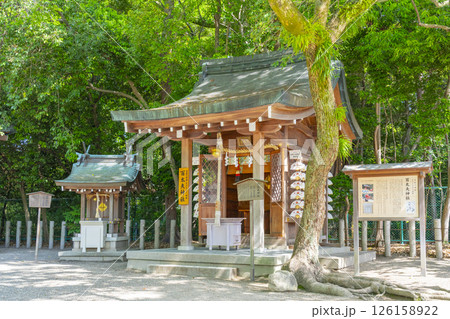 西宮神社 六甲山神社・百太夫神社 西宮神社 六甲山神社・百太夫神社 126158922