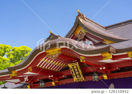 西宮神社　立派な拝殿 126158932