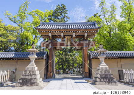 西宮神社　新緑に包まれた南門 126158940