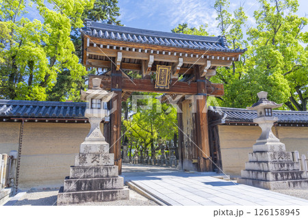 西宮神社　新緑に包まれた南門 126158945