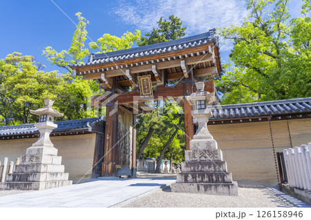 西宮神社　新緑に包まれた南門 126158946