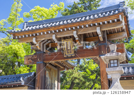 西宮神社　新緑に包まれた南門 126158947