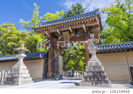 西宮神社 新緑に包まれた南門 西宮神社 新緑に包まれた南門 126158948