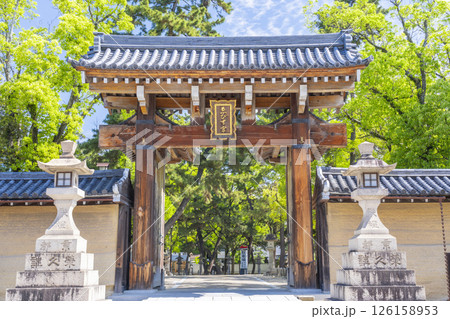 西宮神社　新緑に包まれた南門 126158953