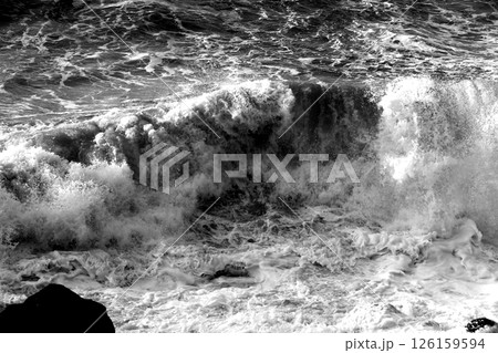 桂浜に打ち寄せる波 桂浜に打ち寄せる波 126159594