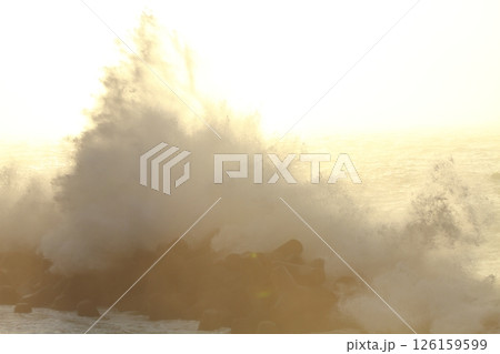 桂浜に打ち寄せる波 桂浜に打ち寄せる波 126159599