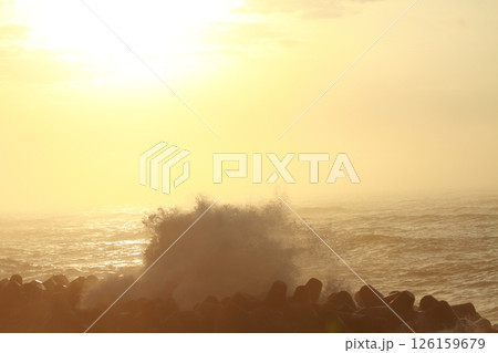 桂浜に打ち寄せる波 126159679