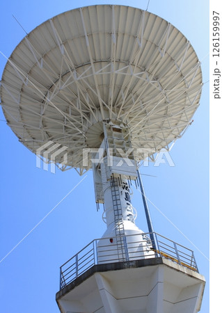 アンテナ 126159997