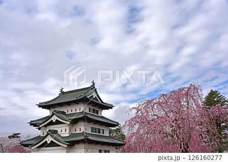 弘前公園　弘前城と桜 126160277