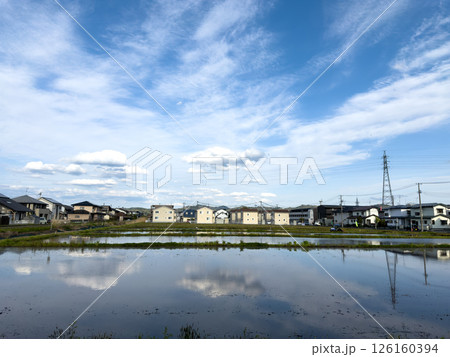 青空を映す水田風景 126160394