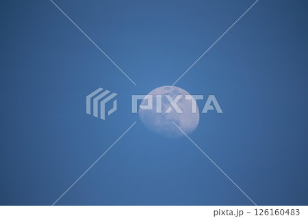満月 126160483