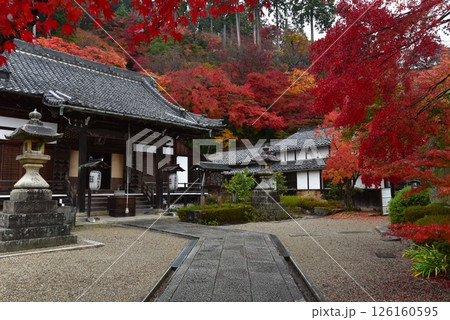 紅葉に包まれた善峯寺　釈迦堂 126160595