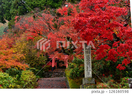 紅葉したモミジと階段とお稲荷さん 126160598