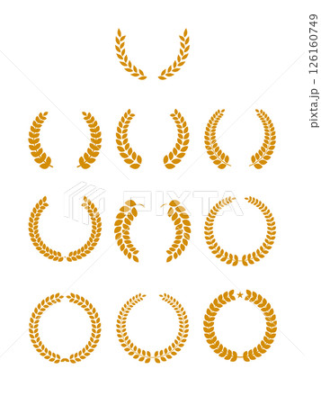 月桂樹のベクターイラストセット 126160749