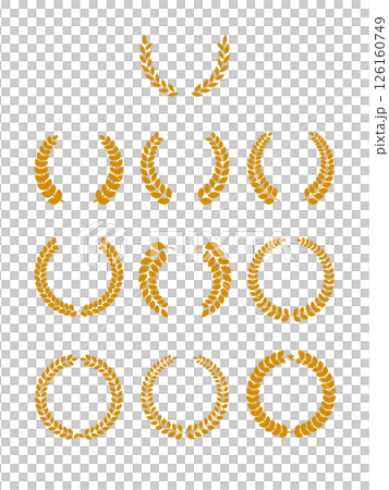 月桂樹のベクターイラストセット 126160749
