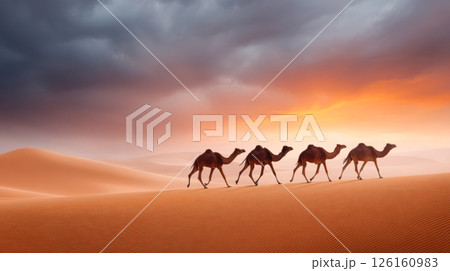 Camels walking across vast desert landscape under dramatic sunset sky with clouds Camels walking across vast desert landscape under dramatic sunset sky with clouds 126160983