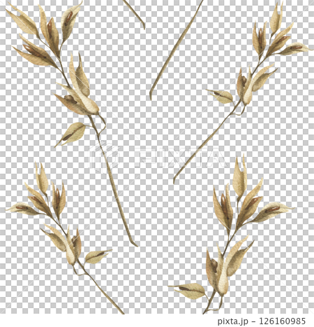Oat stems watercolor seamless pattern. Hand drawn cereal background with bread and vegan milk ingredient clipart for product packing,textile, fabric design 126160985