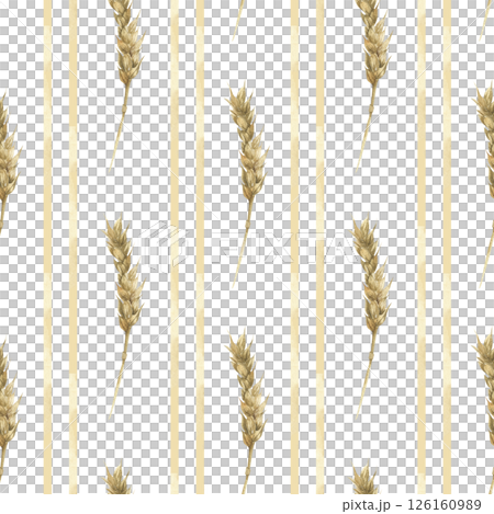 Cereal watercolor seamless pattern with wheat dry stems in repeated striped background.Hand drawn field floral illustration, rustic style home textile, fabric design, kitchen wallpaper, eco product 126160989