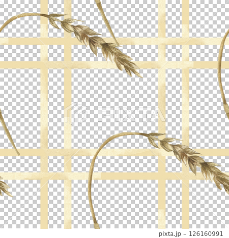Wheat dry grass illustrations on plaid seamless pattern.Hand drawn rustic style background with golden crops clipart on geometric lines for home textile, fabric, eco product packing design 126160991
