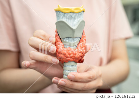 Hyperthyroidism, Overactive Thyroid, Thyroid Lymphoma, Asian woman with thyroid gland human anatomy model. Hyperthyroidism, Overactive Thyroid, Thyroid Lymphoma, Asian woman with thyroid gland human anatomy model. 126161212