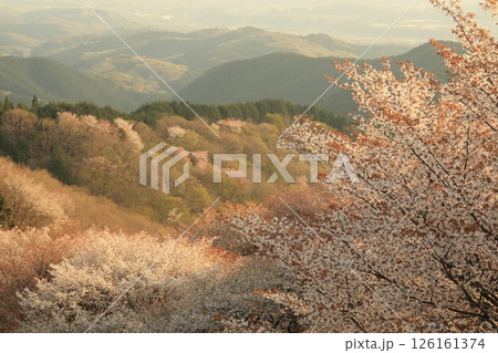 御亭山の眺め 126161374