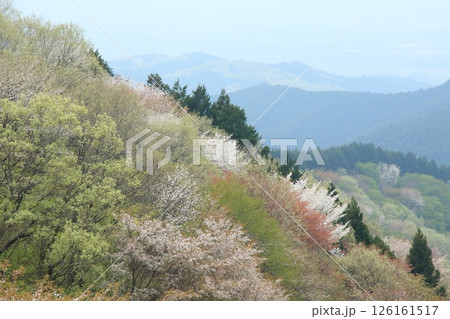 御亭山の眺め 126161517